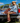 Country Thunder Bell Bottom Pant
